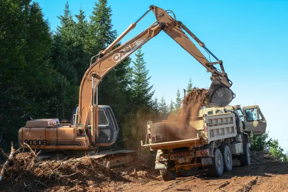 Lupin Casino Tacaíocht